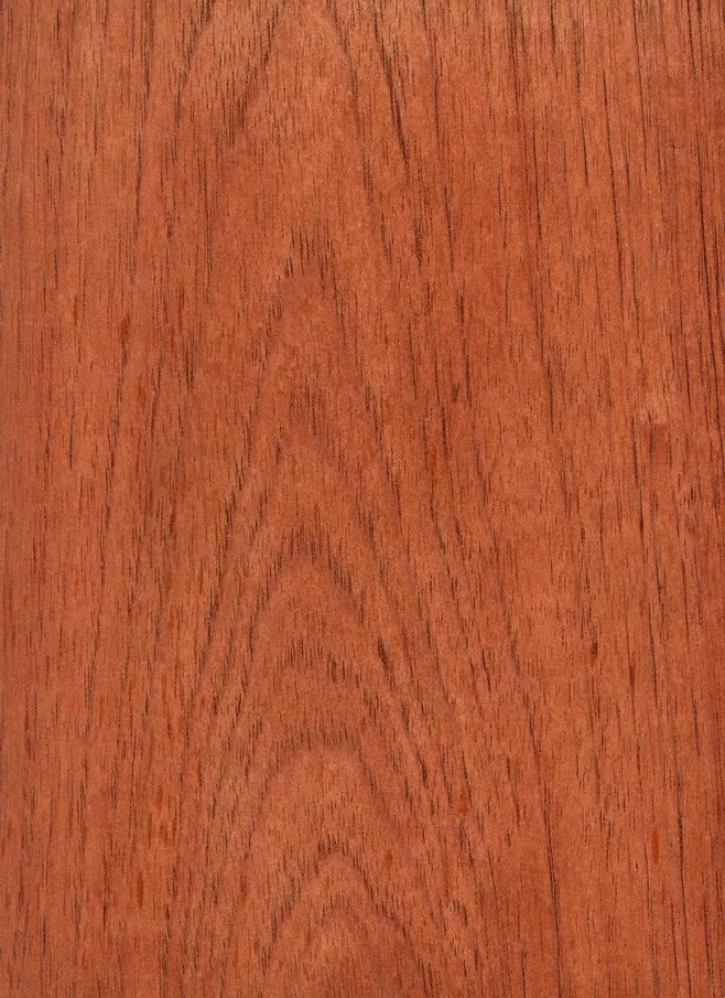 西班牙香杉的芯材為均勻的淺粉色到紅棕色，顏色一般會隨著樹木的增長而加深，通常，木材都自帶樹脂和有油脂，木材板麵看起來比較普通。紋理通常直，有局部交錯，材質均勻，天然光澤度一般。.webp.jpg